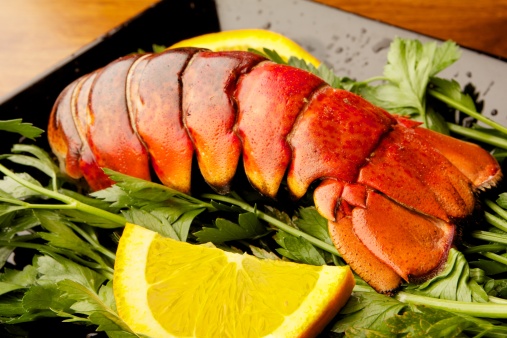 Lobster tail on a bed of parsley with fresh oranges.