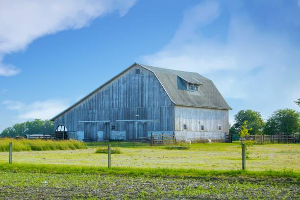 istock Old Weathered Barn- Hamilton County, Indiana 1579170868