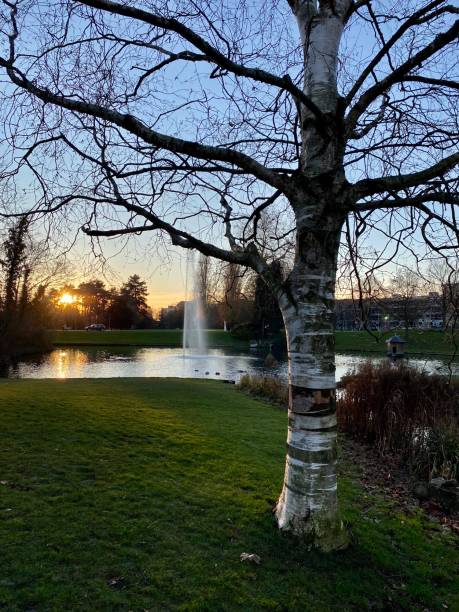 sunset Barbieux Park Roubaix