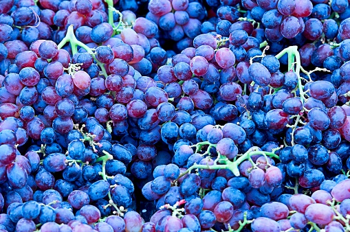 A bunch of blue grapes in focus in full frame. Fresh grapes in focus. Grapes in the box. Fresh fruit background.