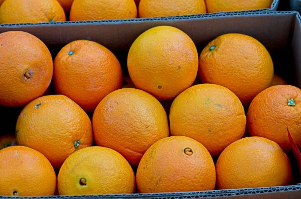 istock Oranges on Display at a Farmers Market 1579252595