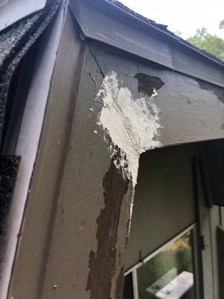istock Patch on rotted wood trim of house 1579262476