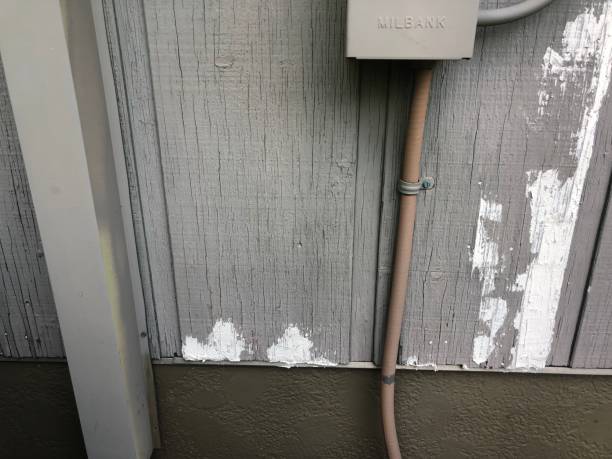 istock Rotted exterior siding with white patches 1579262986