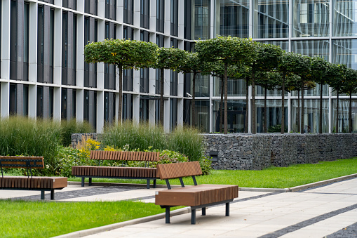 Perspective view of paved path with green lawn, decorative grass and modern wooden benches in front of gabion tree tubs made of wire and filled with stones in recreation area near modern office building.