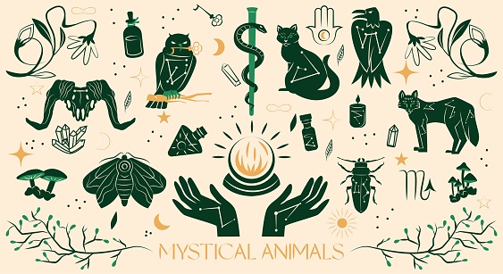 Mystical boho animals set. Collection of silhouettes of insects and beetles. Witchcraft and sorcery. Esotericism and mysticism, occultism. Cartoon flat vector illustrations isolated on beige backdrop