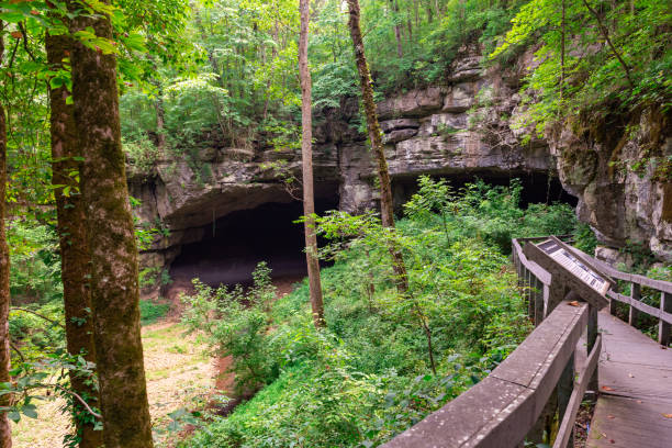 istock Russell Cave National Monument in Alabama 1579428128