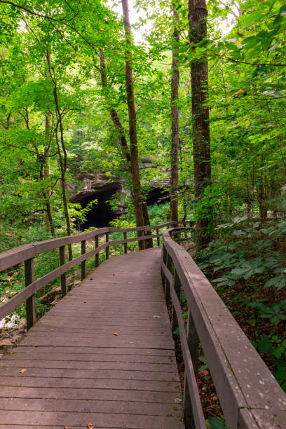 istock Russell Cave National Monument in Alabama 1579428129