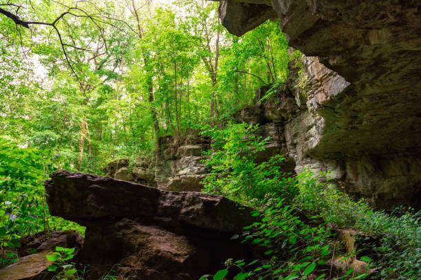 istock Russell Cave National Monument in Alabama 1579428131