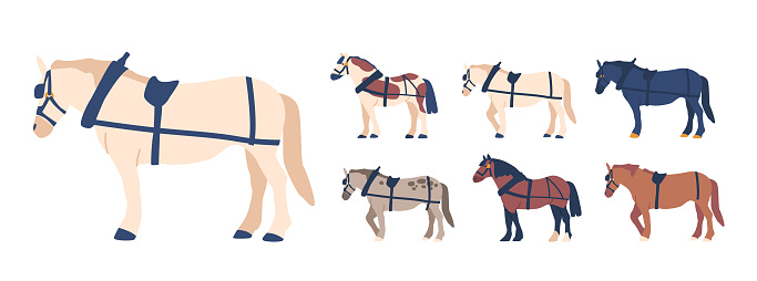 Horses Equipped With A Harness, Consisting Of Straps And Equipment That Allows To Pull Carts Or Carriages Facilitating Transportation And Work. Cartoon Vector Illustration Isolated On White Background