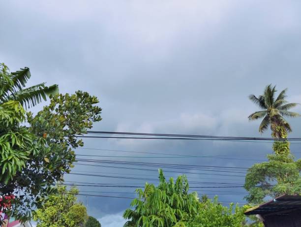 istock Green trees and power line under dark cloudy sky before rain 1579488531
