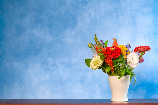 Bouquet with colorful zinnia flowers in the white vase and blue background. Celebratory concept, can be used for occasions such as Birthday, anniversary, Mother’s Day, March 8th. Copy space.