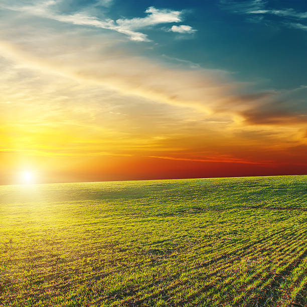 istock beautiful sunset over green field 157954601