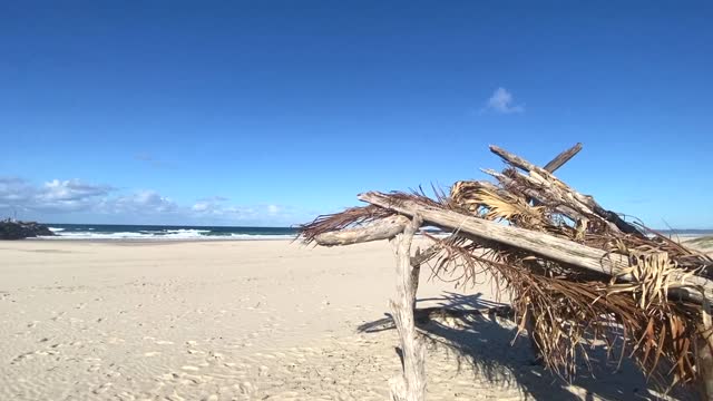 Driftwood and Palm Hut at Beach