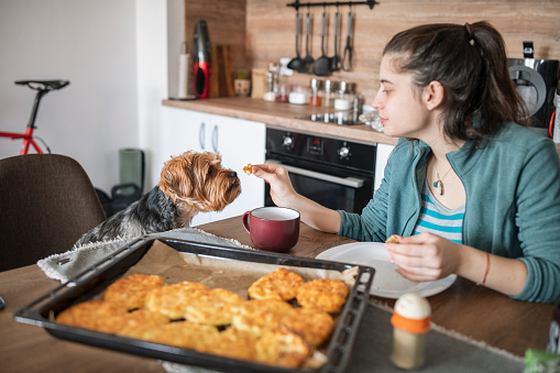 Woman sharing breakfast with her lovely dog at home