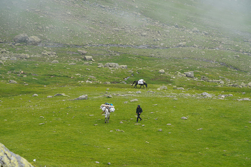 Man walking with horse, Kackar Mountain, Turkey