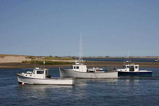 Trois bateaux de pêche à ancre - Photo