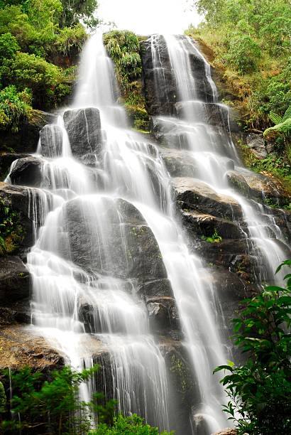 Cachoeira brasileiro - foto de acervo