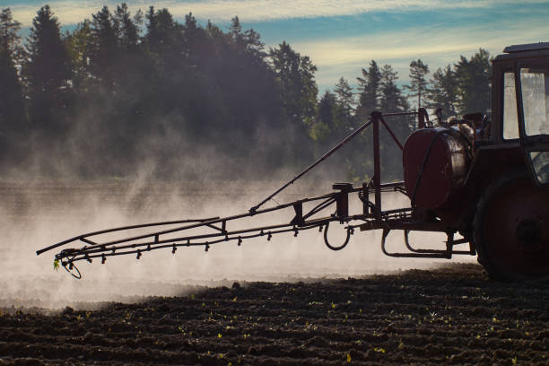 un nuage d’aérosol derrière un tracteur agricole pulvérisant des herbicides dans un champ de pommes de terre. - heavy plant photos et images de collection