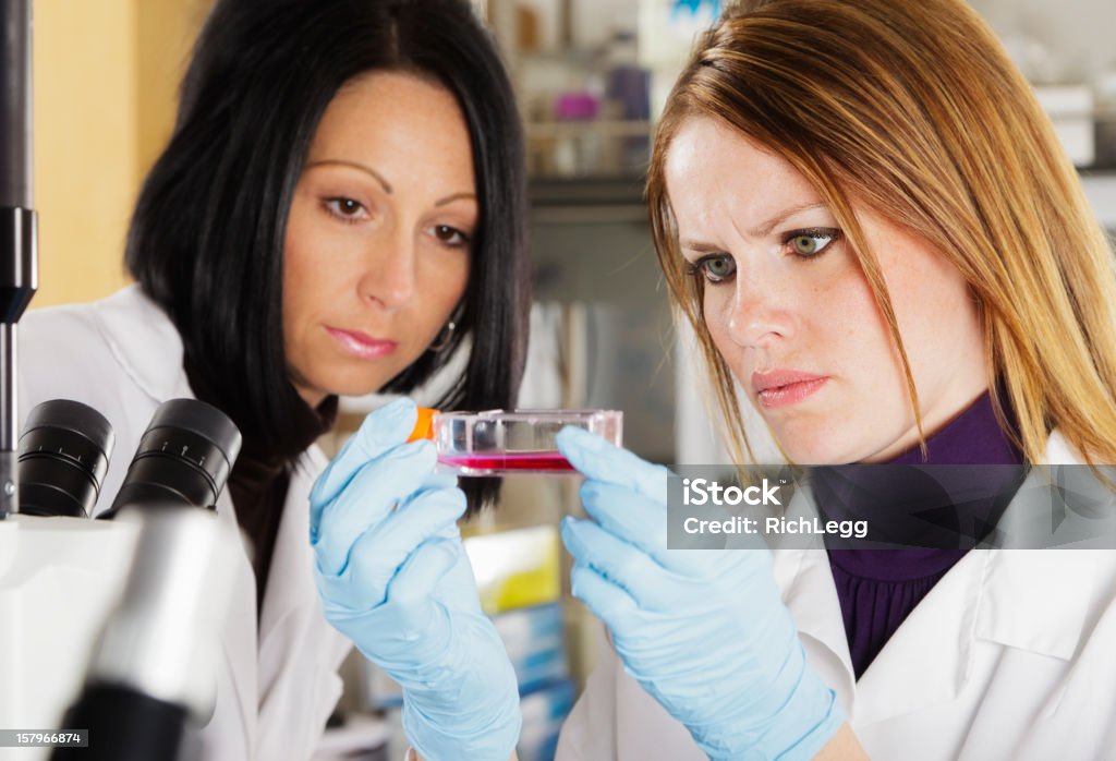 Woman Worker in a Laboratory A female technician working in a medical laboratory. 30-39 Years Stock Photo