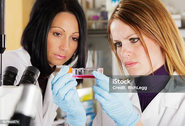 Woman Worker In A Laboratory Stock Photo - Download Image Now - 30-39 Years, Adult, Adults Only