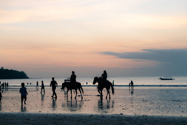 Two saddled horses enjoying a stunning sunset on the beach, standing peacefully against the backdrop of shimmering ocean waves