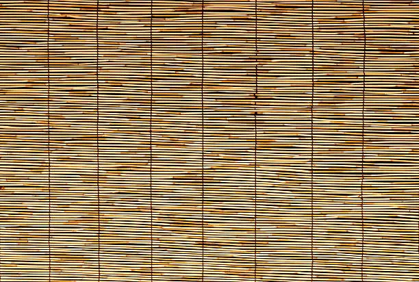 Photo of Bamboo Background