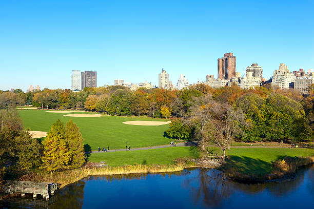 istock Central Park in autumn 157981336