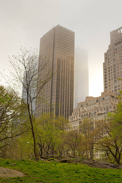 istock Fog over Central Park, New York 157981391