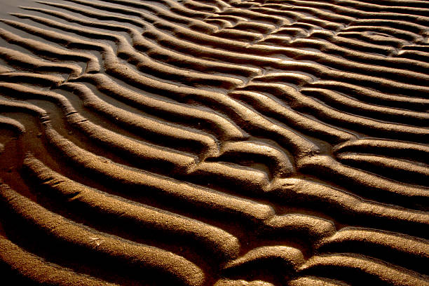 Sand dunes on low-tide stock photo