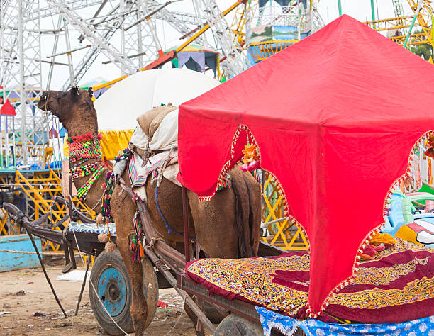 istock Camel cart and ferris wheel, Pushkar, India. 157982808