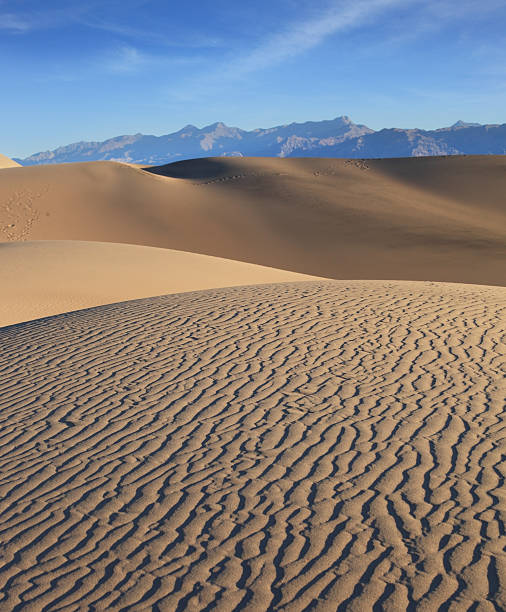 istock Crest of the dune 157984467
