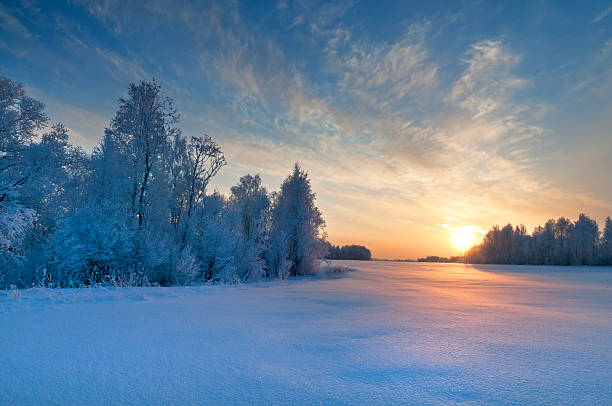 istock Sunrise in the winter wood. 157985534