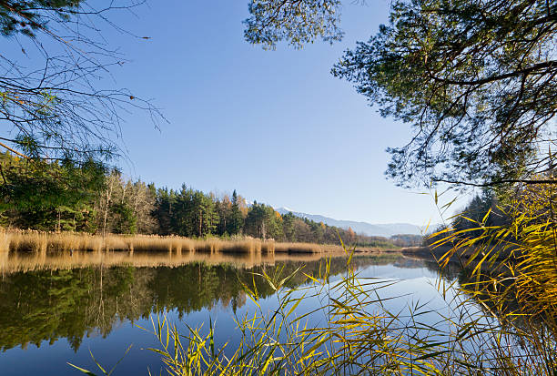 istock The mountain lake 157985554