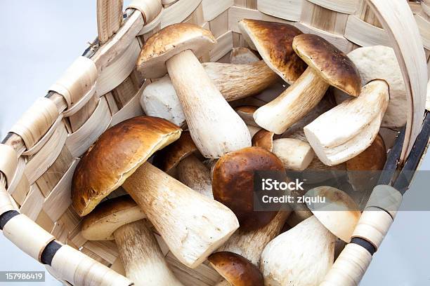 Eatable Funghi - Fotografie stock e altre immagini di Autunno - Autunno, Cestino, Cibo