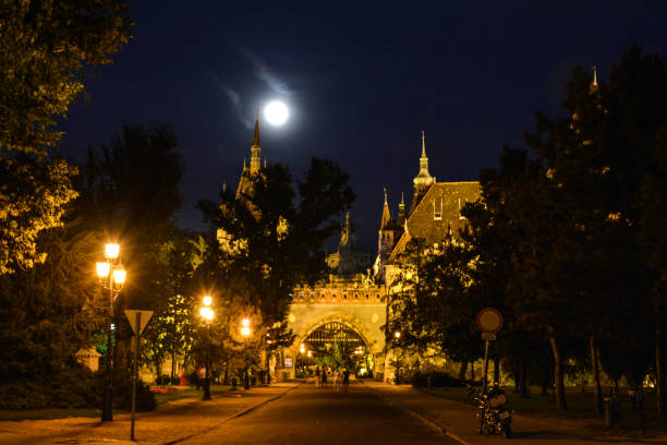 Vajdahunyad Castle (Hungarian: Vajdahunyad vára) is a castle in the City Park of Budapest, Hungary.