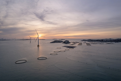 Offshore wind turbines and fishing rafts for aquaculture at sunrise