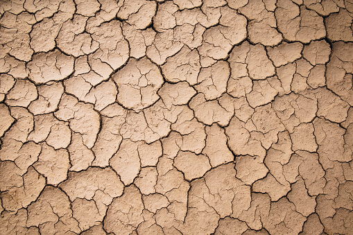 The dry and arid soil surface in the hot season, the ideas of climate change-related disasters and global warming.