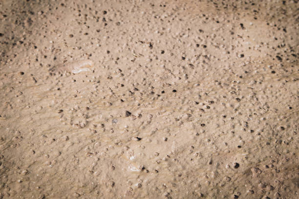 A sticky, brown-colored soil surface with some bubbles of air.