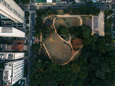 View of a park in the middle of the city of São Paulo