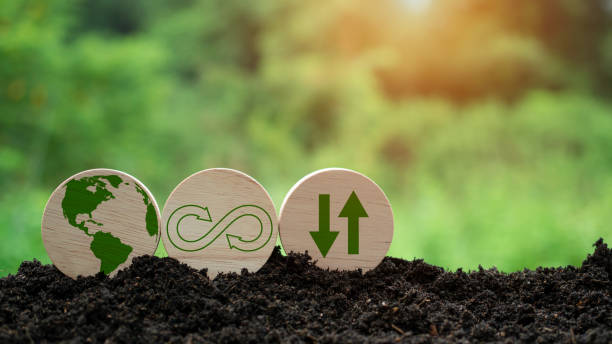 istock Concepts of waste reduction, pollution, reuse, efficient use of resources. Environmental protection sign by recycling on circular wooden board on nature background. 1579871412