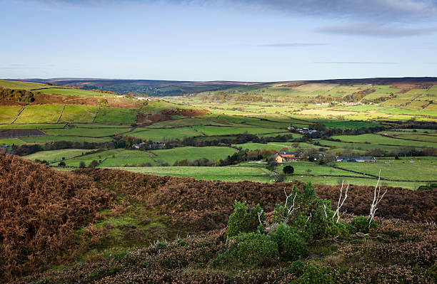 istock North York Moors, Glaisdale, Yorkshire, UK. 157987940