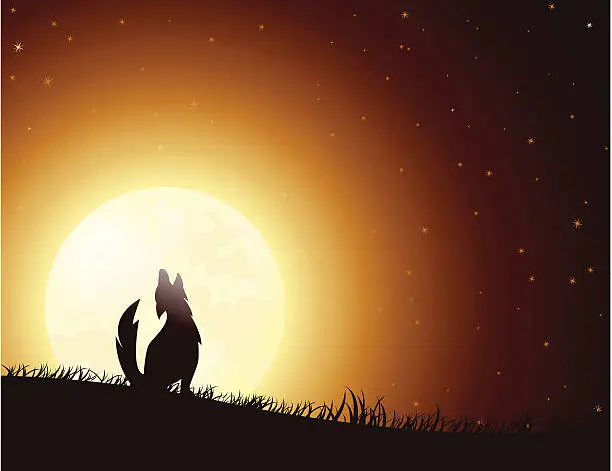 Vector illustration of Howling Wolf Orange Moon
