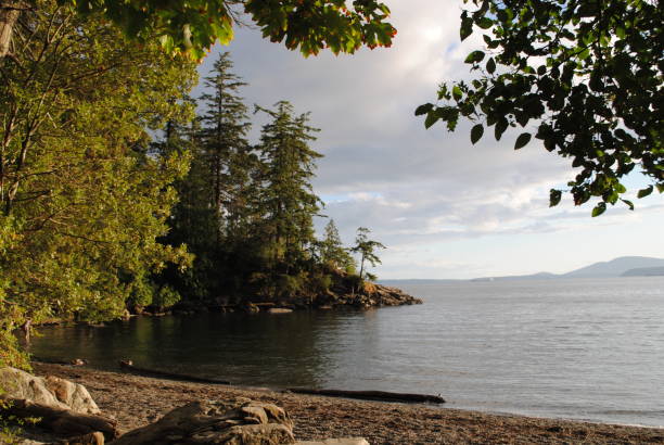 istock Rocky Beach In Puget Sound 1579889471