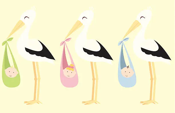 Vector illustration of Storks with Babies