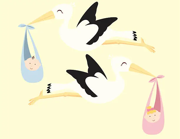 Vector illustration of Flying Storks with Babies