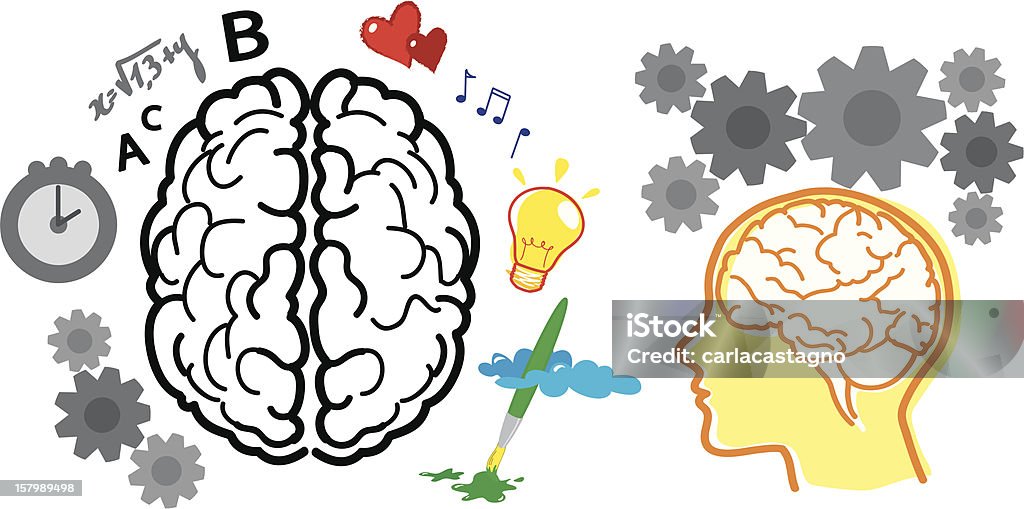 Brains Different views of human brain. Architectural Dome stock vector