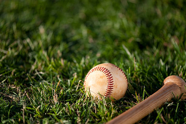 istock Youth League Baseball and Bat Close Up 157989974