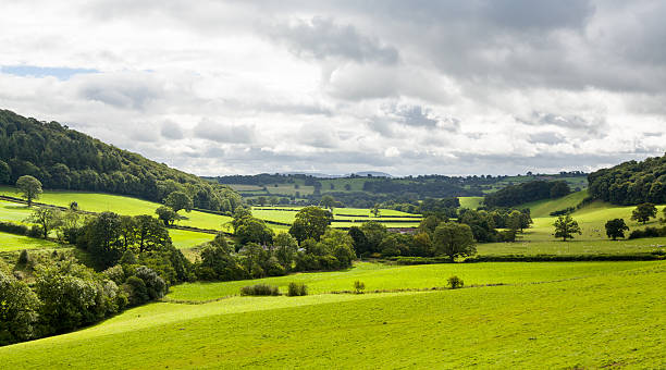 istock Panorama of welsh countryside 157990538