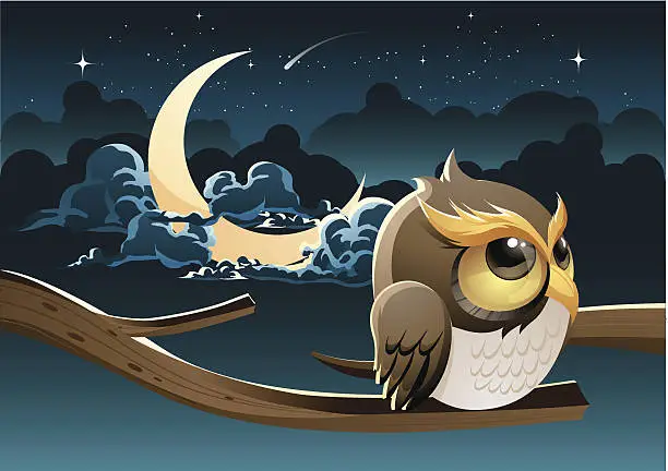 Vector illustration of Midnight lonely owl