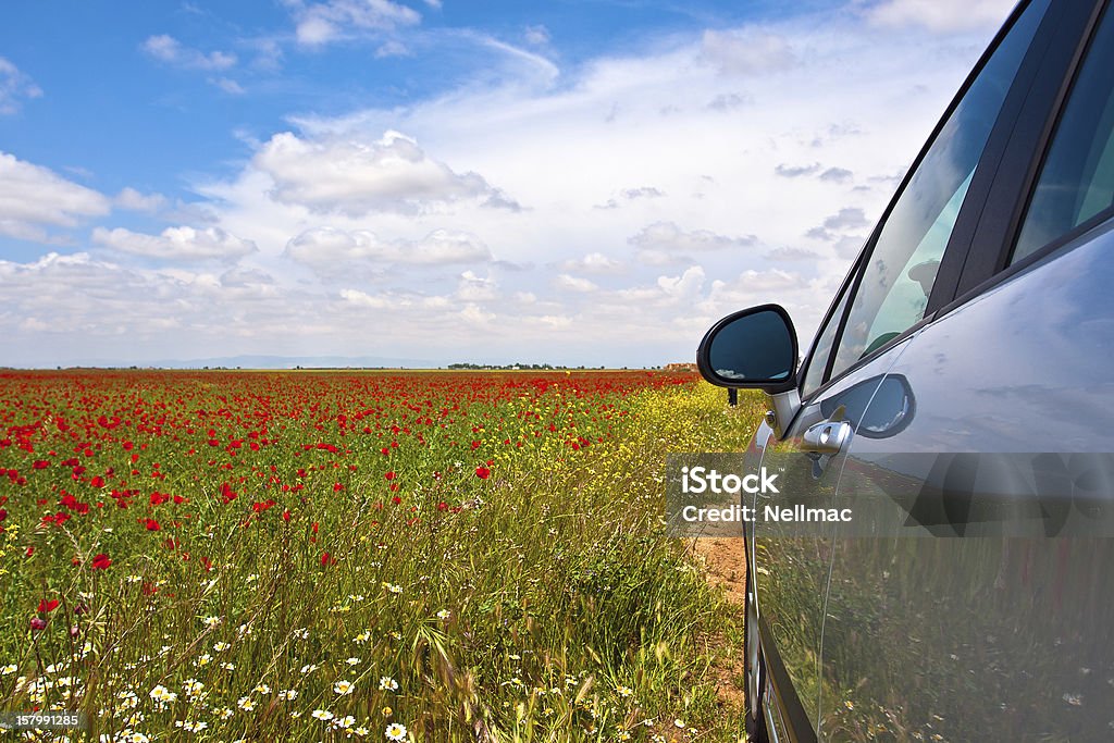 The field of spring flowers and car The field of spring flowers, poppies and car Car Stock Photo